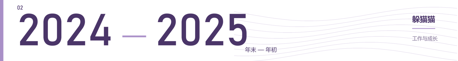 2024 年末至 2025 年初 躲猫猫